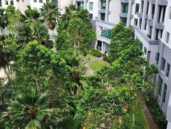 Signature Park (D21), Condominium #496774281